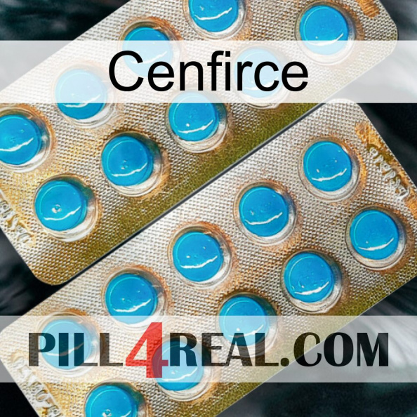 Cenfirce new08.jpg